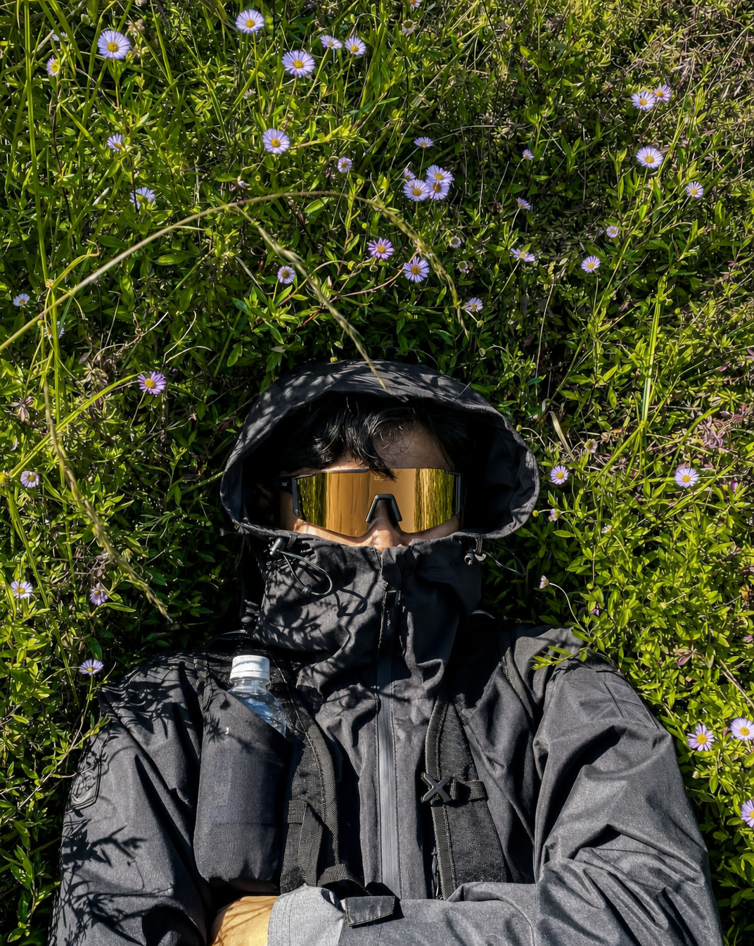 Overhead portrait in wildflower grass