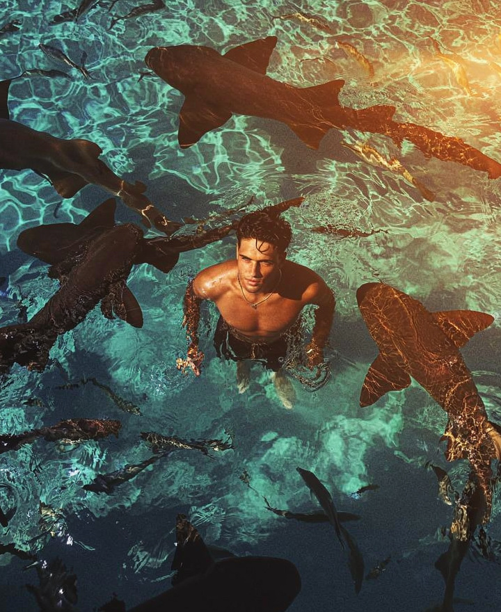 Shirtless man in teal water with circling sharks